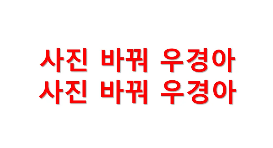 고우경