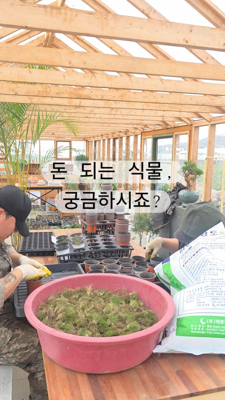 가드닝을 위한 준비, 꽃숨이 선택한 식테크의 시작