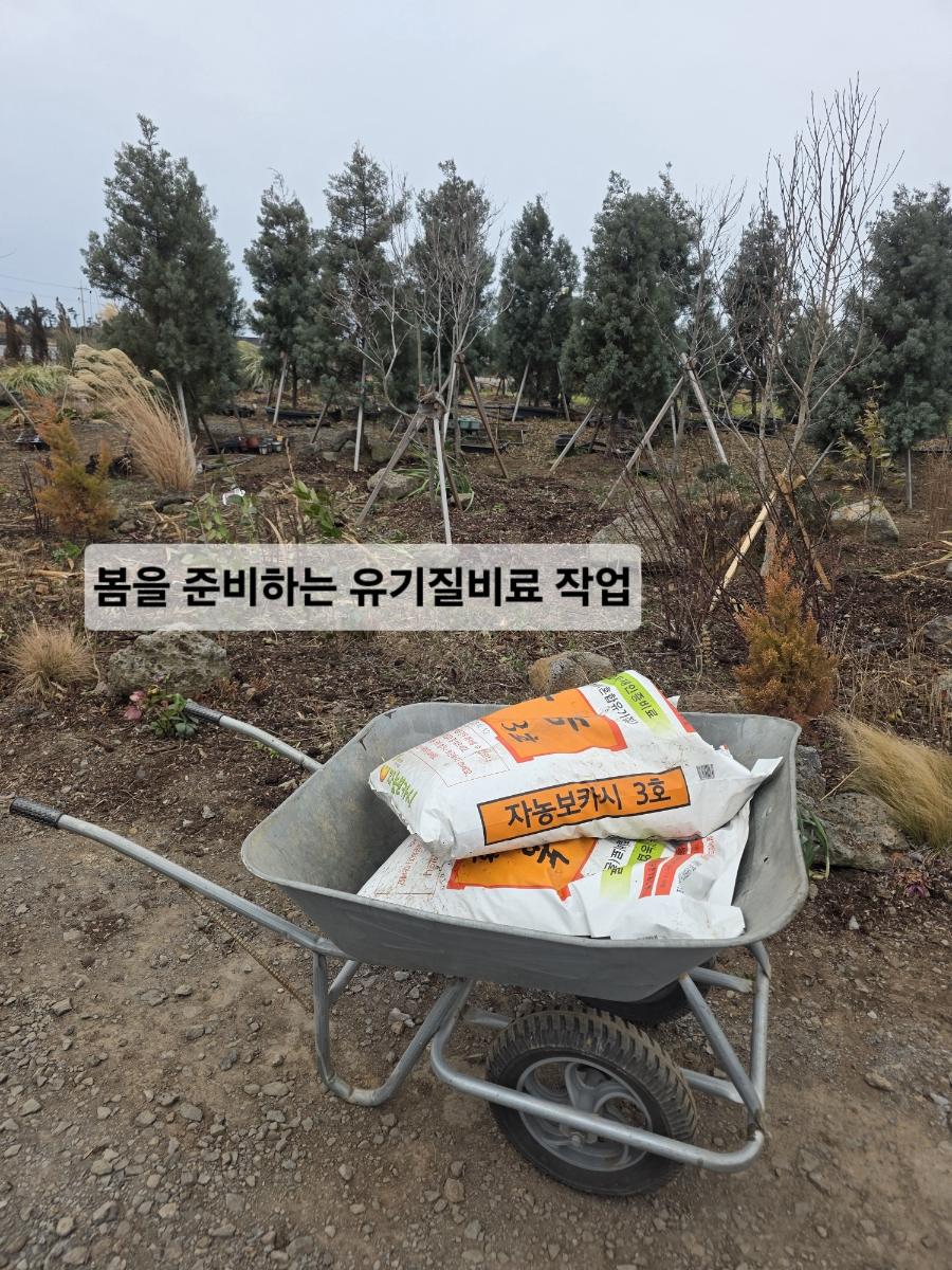봄을 준비하는 유기질비료 작업