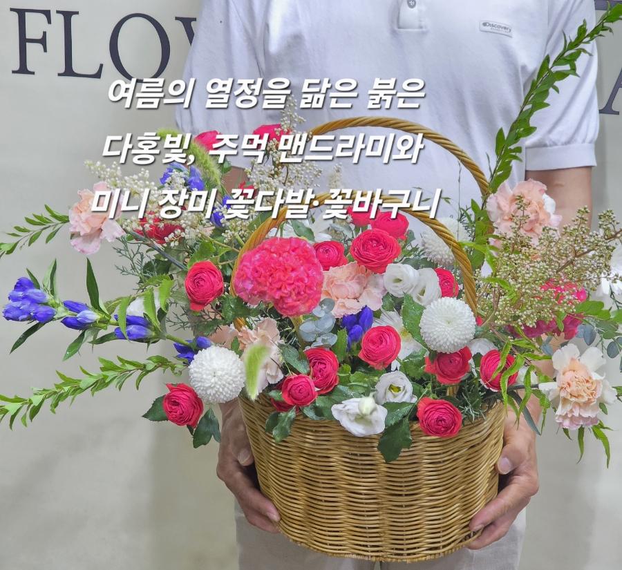 여름의 열정을 닮은 붉은 다홍빛, 주먹 맨드라미와 미니 장미 꽃다발·꽃바구니
