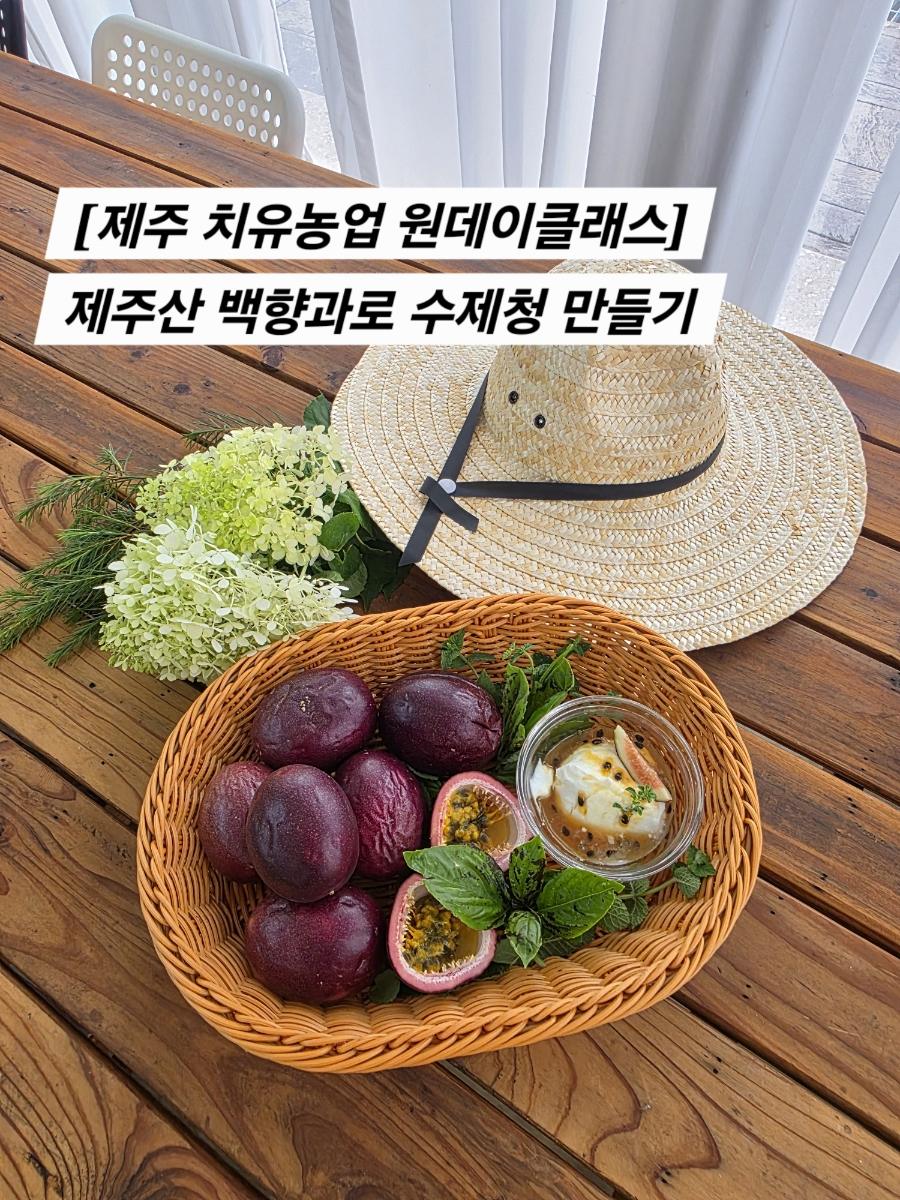 [제주 치유농업 원데이클래스] 제주산 백향과로 수제청 만들기｜제주치유농장 꽃숨