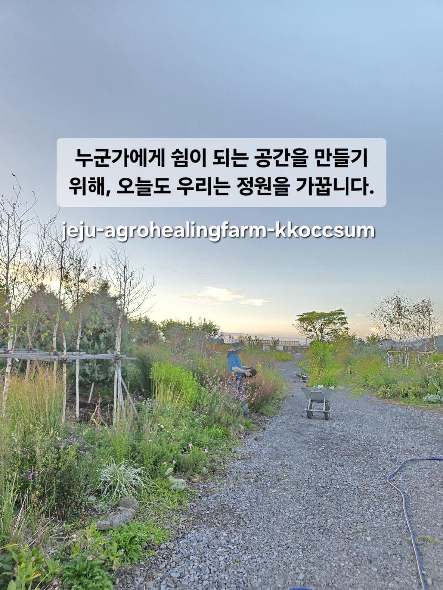 제주 치유농장 꽃숨｜하루 일 끝자락, 허리를 펴니 노을빛 정원이 보였습니다